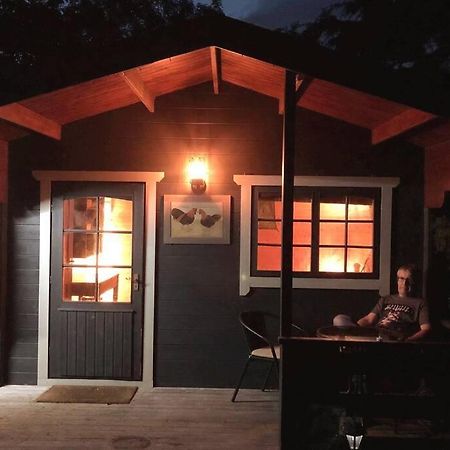 Unique Tiny House Near 3 Peaks - The Zedshed Apartment Bentham Ngoại thất bức ảnh