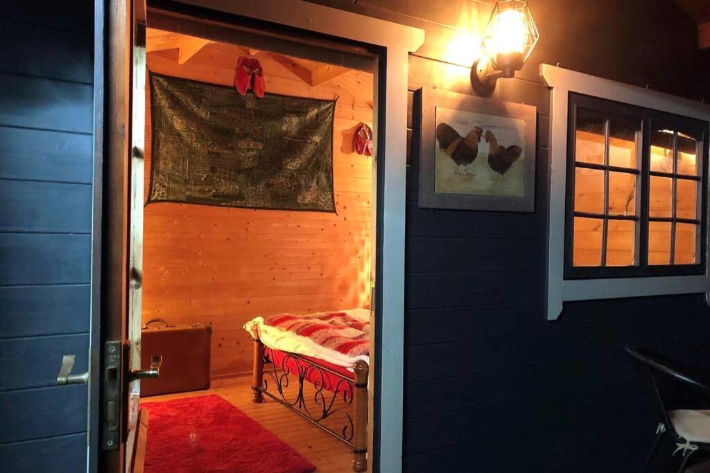 Unique Tiny House Near 3 Peaks - The Zedshed Apartment Bentham Ngoại thất bức ảnh